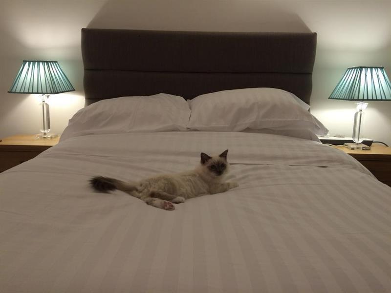 Oyo Oakcroft Guest House Manchester Airport Ringway エクステリア 写真
